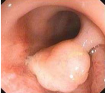 1736738661723247.png image.png