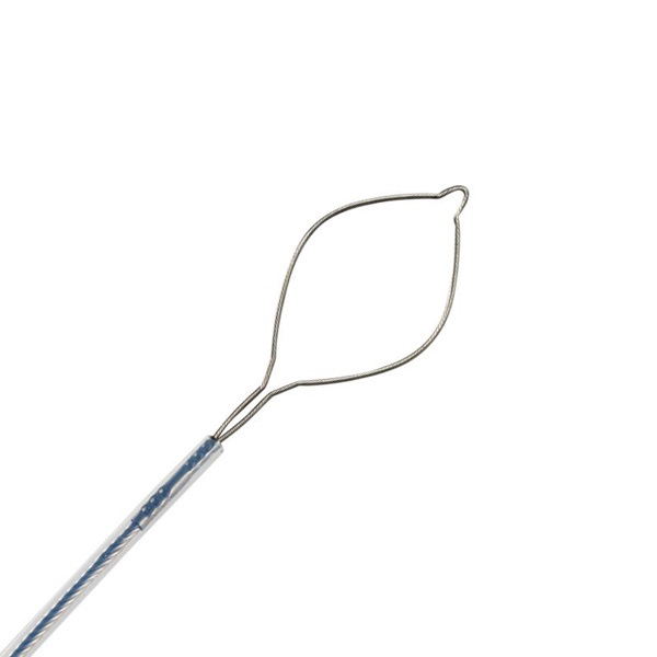 1737105980993494.jpg 圖片1.jpg