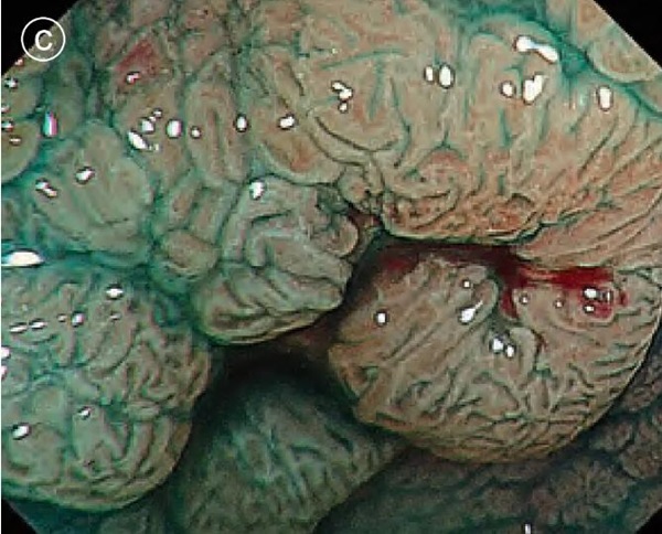 1737106005683456.jpg 圖片4.jpg