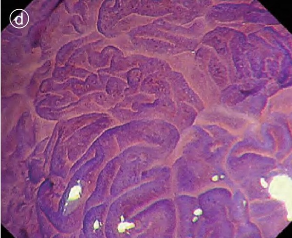 1737106014479806.jpg 圖片5.jpg