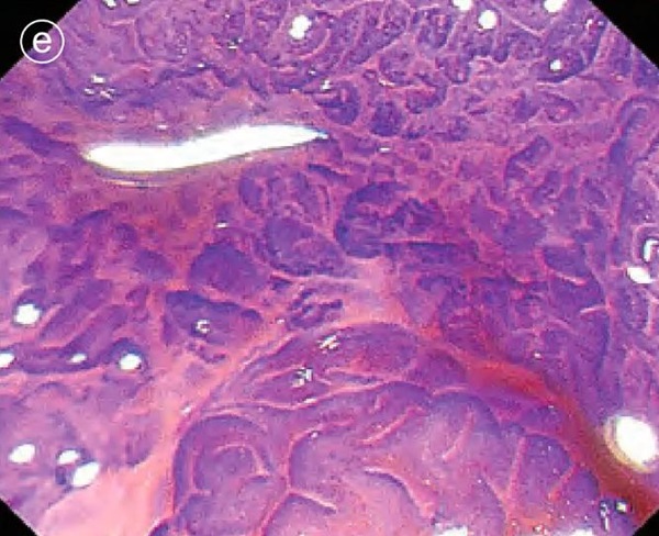 1737106023338476.jpg 圖片6.jpg