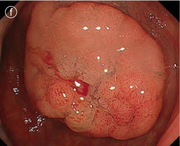 1737106031172092.jpg 圖片7.jpg